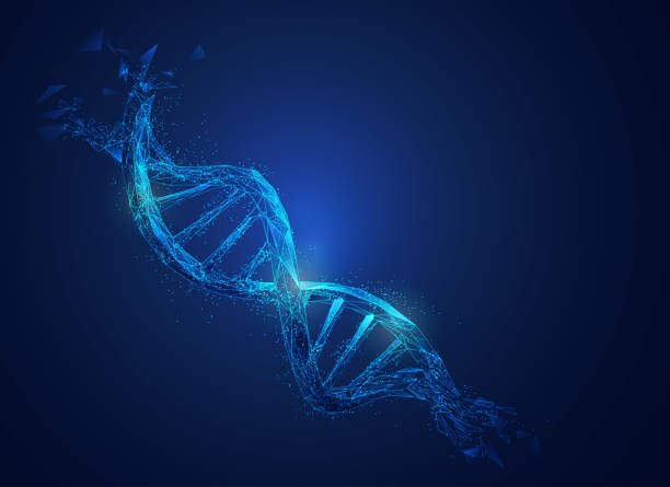 DNA strand